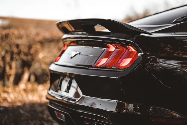 Casino Mr Slot Android/iOS Forrit